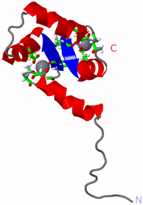 Image NMR Structure - model 1, sites