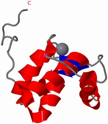 Image NMR Structure - model 1