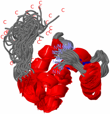 Image NMR Structure - all models