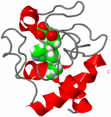 Image NMR Structure - model 1