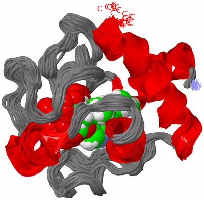 Image NMR Structure - all models