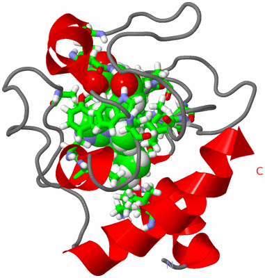 Image NMR Structure - model 1, sites