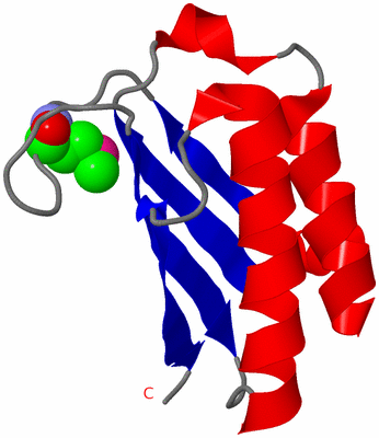 Image Asymmetric Unit