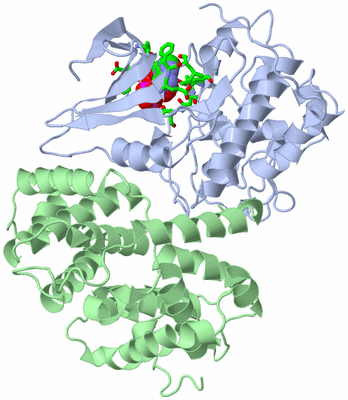 Image Biol. Unit 1 - sites