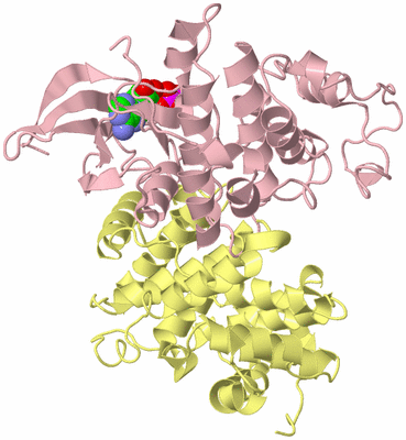 Image Biological Unit 2