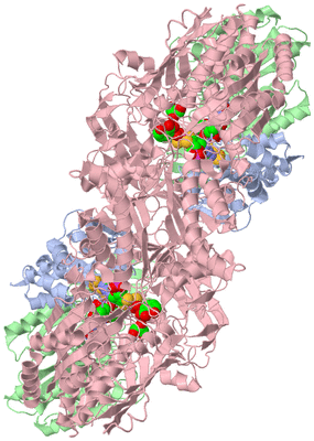 Image Biological Unit 1