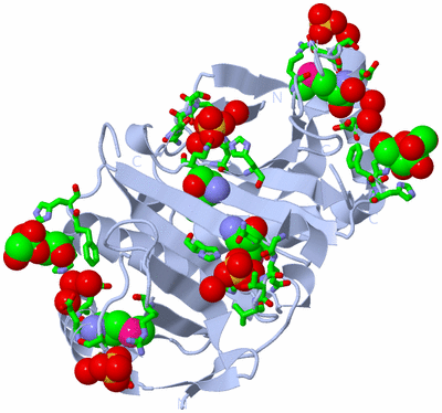 Image Biol. Unit 1 - sites