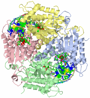 Image Asym./Biol. Unit - sites