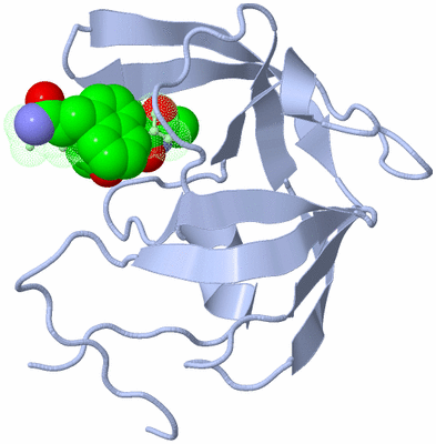 Image Asymmetric Unit