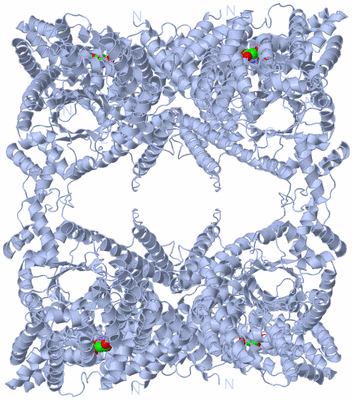 Image Biological Unit 2