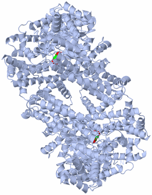 Image Biological Unit 3