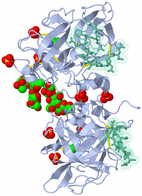 Image Biological Unit 2