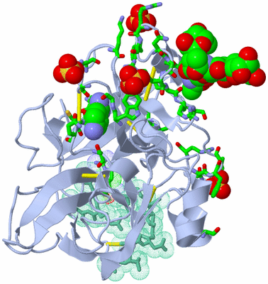 Image Asym. Unit - sites