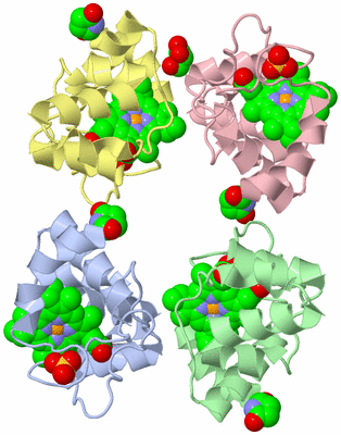 Image Asym./Biol. Unit