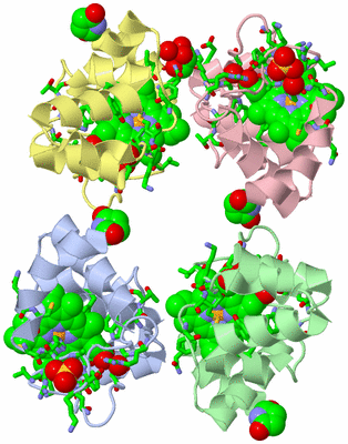 Image Asym./Biol. Unit - sites