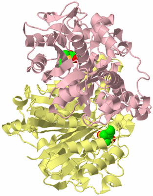 Image Biological Unit 2