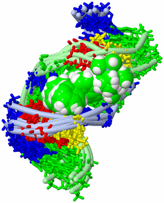 Image NMR Structure - all models