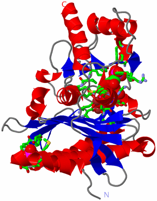 Image Asym. Unit - sites