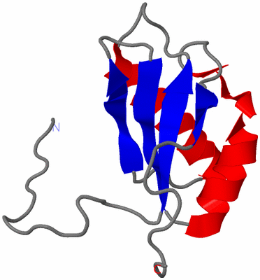 Image NMR Structure - model 1