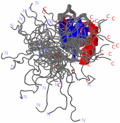 Image NMR Structure - all models