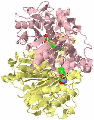 Image Biological Unit 2