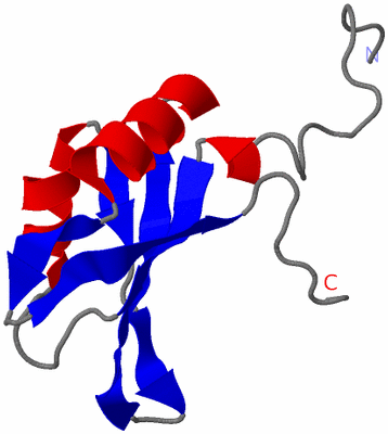 Image NMR Structure - model 1