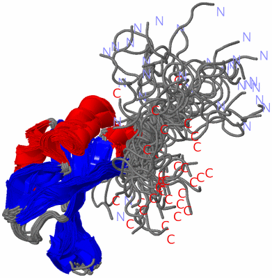 Image NMR Structure - all models