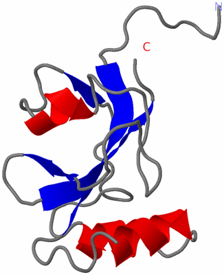 Image NMR Structure - model 1