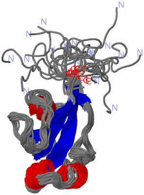 Image NMR Structure - all models