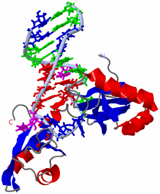 Image NMR Structure - model 1