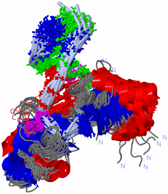 Image NMR Structure - all models