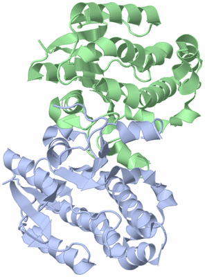 Image Asym./Biol. Unit