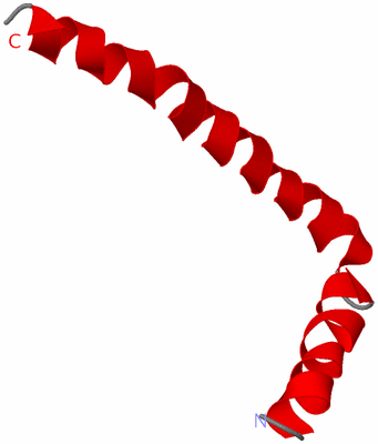 Image NMR Structure - model 1