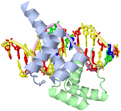 Image Biological Unit 1