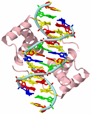 Image Biological Unit 2