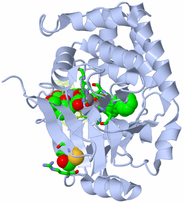 Image Biol. Unit 1 - sites