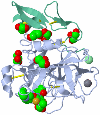 Image Asym./Biol. Unit