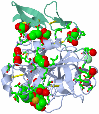 Image Asym./Biol. Unit - sites