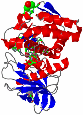 Image Asym./Biol. Unit - sites