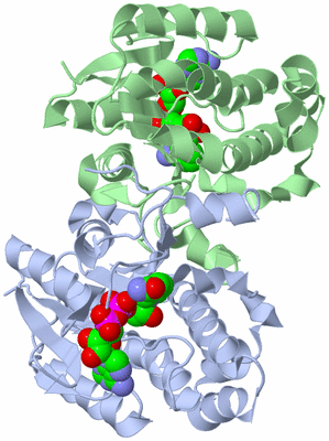 Image Asym./Biol. Unit