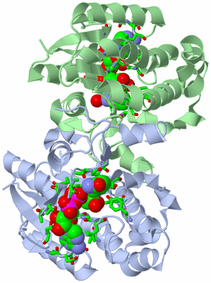 Image Asym./Biol. Unit - sites