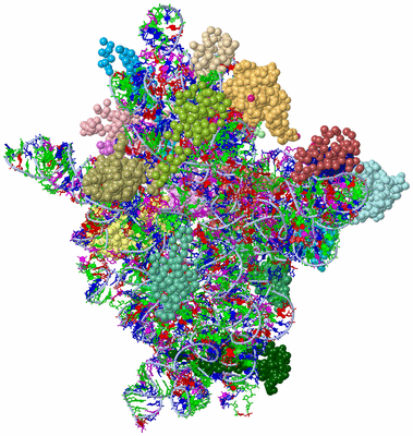 Image Asym./Biol. Unit