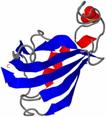 Image Asymmetric Unit