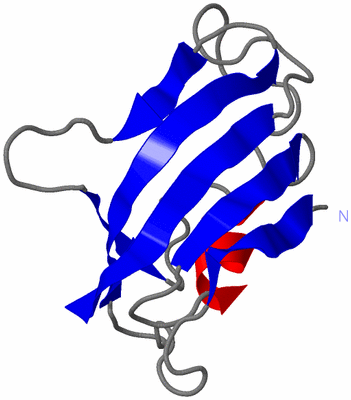 Image NMR Structure - model 1