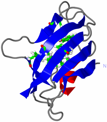 Image NMR Structure - model 1, sites