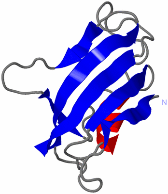 Image NMR Structure - model 1