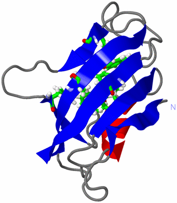 Image NMR Structure - model 1, sites