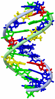 Image NMR Structure - model 1