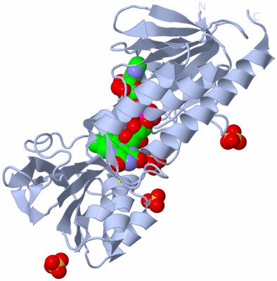 Image Biological Unit 1