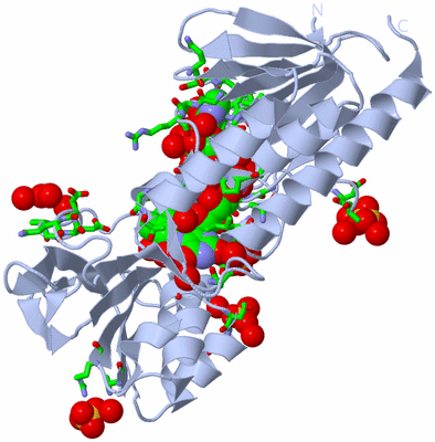 Image Biol. Unit 1 - sites